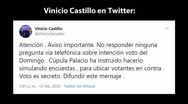 Vinicio Castillo sobre las encuestas vía telefónica