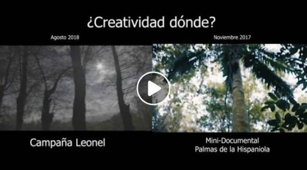 Plagio? Cuestionan anuncio de Leonel Fernández por similitud con un documental