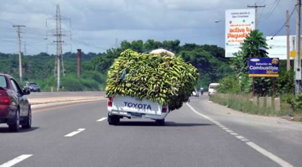 Video: Camioneta se le caen los plátanos en la autopista 6 de noviembre