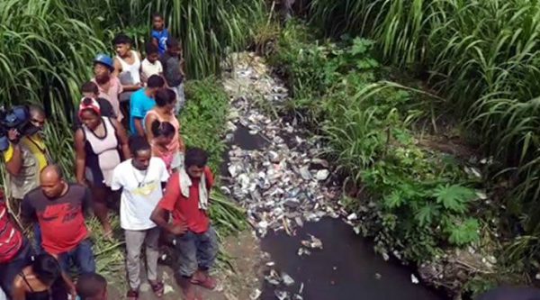 Video: Medio Ambiente buscando cocodrilo en Sabana Perdida