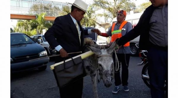 Incautan burros a peregrinos que iban al Palacio Nacional