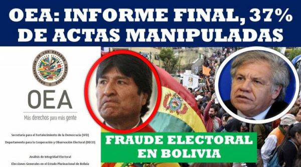 OEA afirma hubo falsificación y adulteraciones en elecciones de Bolivia