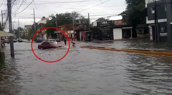 Beryl seguirá causando aguaceros; varias provincias continúan bajo alerta