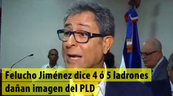 Felucho Jiménez dice 4 ó 5 ladrones dañan imagen del PLD