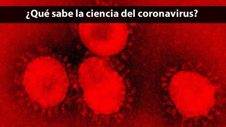 ¿Qué sabe la ciencia del nuevo coronavirus?