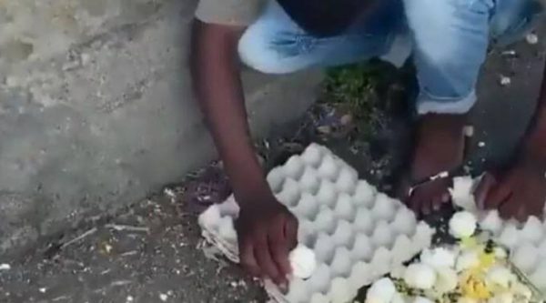 VIDEO: Joven se hace pasar por vendedor de huevos para estafar personas en los semáforos