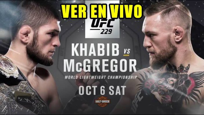 Ver Pelea Entre Conor Mcgregor Y Khabib Nurmagomedov En Vivo Do 9273