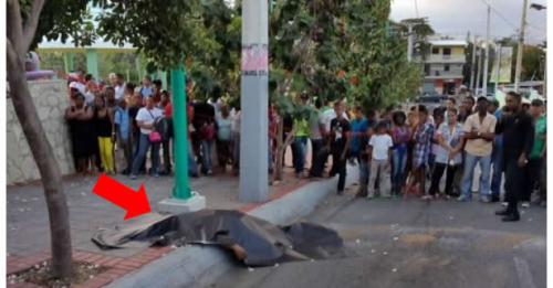 Chofer mata a palos a hombre en Los Ríos