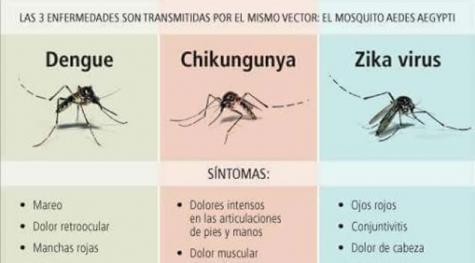 Conoce los síntomas del Zika, Dengue y Chicungunya