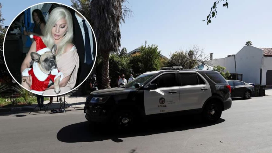 Balearon al paseador de los perros de Lady Gaga en un violento asalto armado