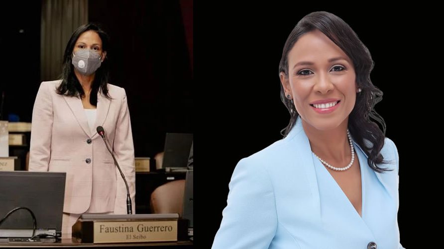 ¿Quién es la diputada Faustina Guerrero o Grey Maldonado?