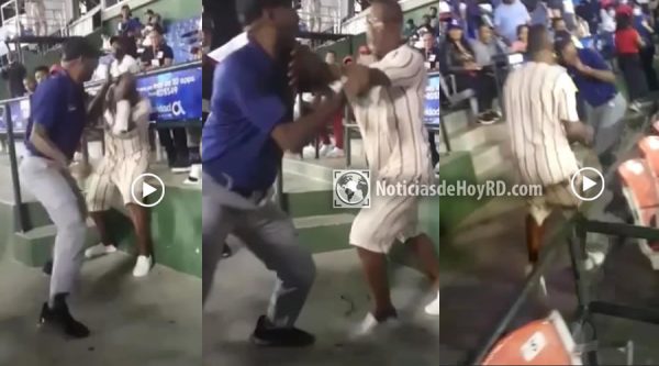 Video: Fanático y seguridad del Estadio Quisqueya se van a las trompadas