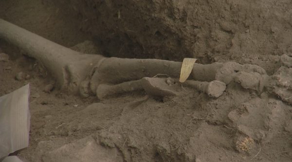 Video: Encuentran cementerio de unos 3.000 años en Samaná, República Dominicana